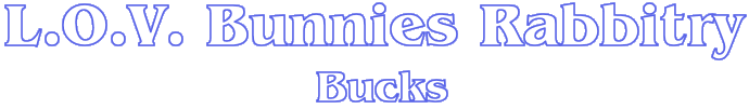 LOV Bunnies Rabbitry - Bucks