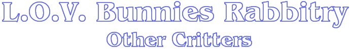 LOV Bunnies Rabbitry - Other Critters